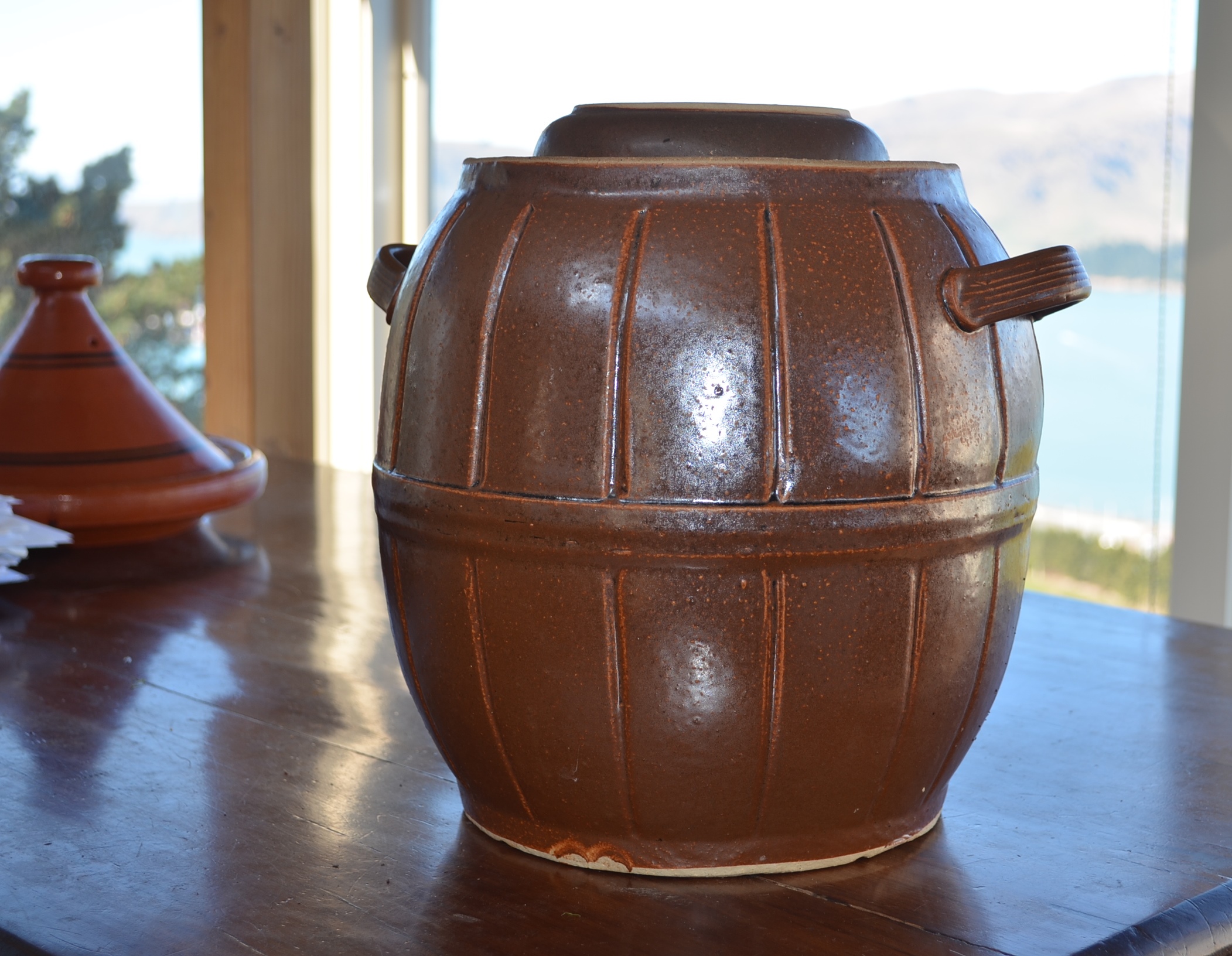 Fermentation pot